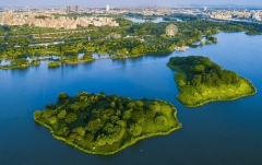 <b>让项目标质量取靠得住性更有</b>